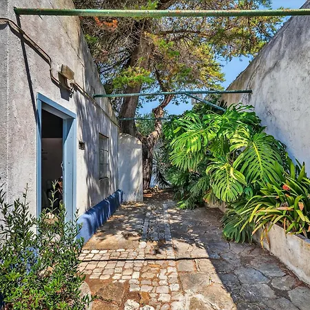 Silent Place - Sintra 招待所