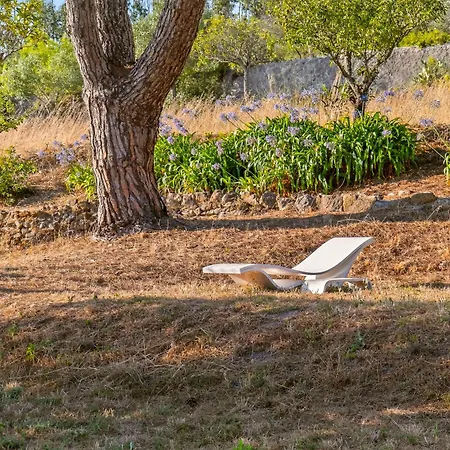 招待所 Silent Place - Sintra
