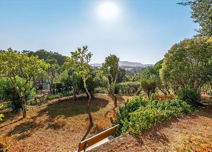 Silent Place - Sintra Gæstehus Agualva-Cacem